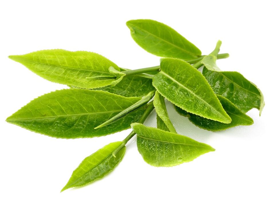 Keto Matcha'te yeşil çay